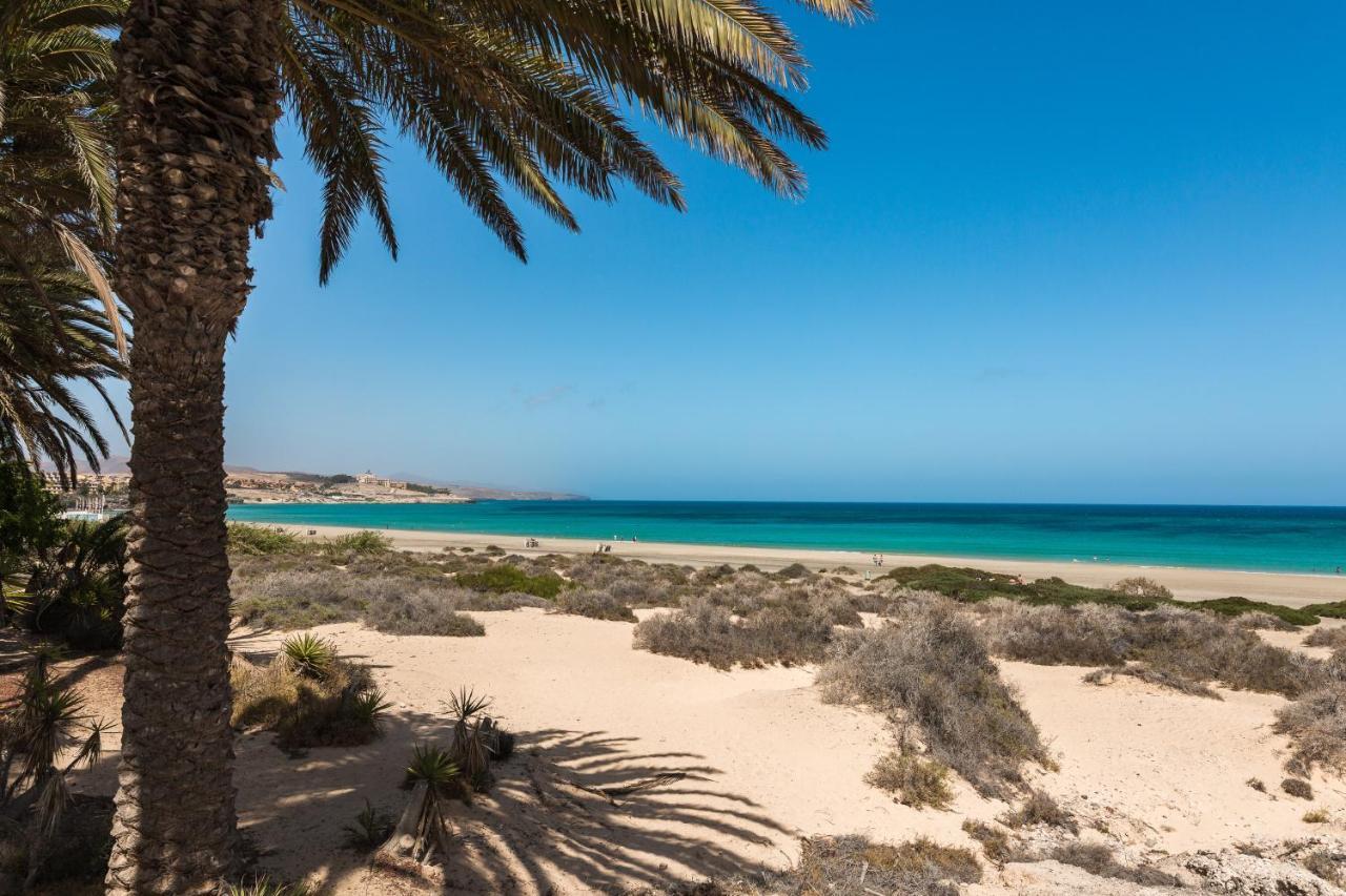 קוסטה קלמה Home2Book Aloha Palm מראה חיצוני תמונה